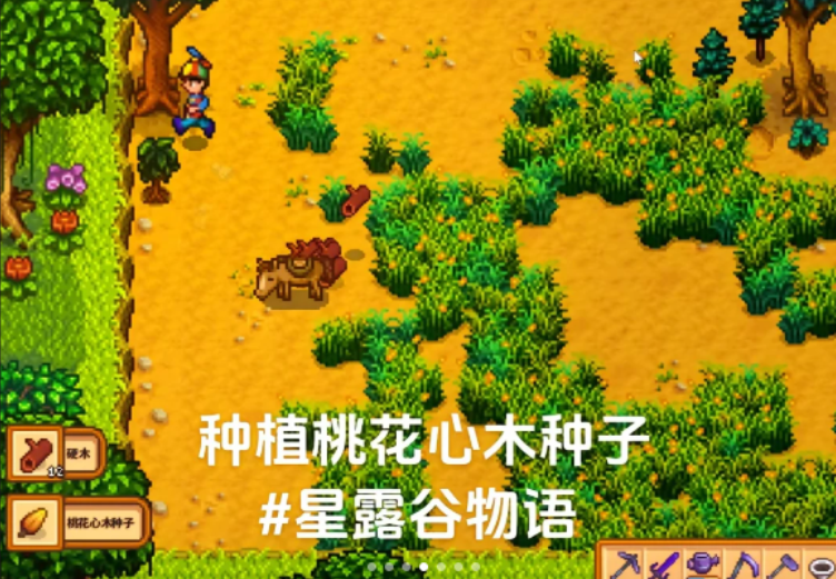 星露谷物语怎么获得硬木