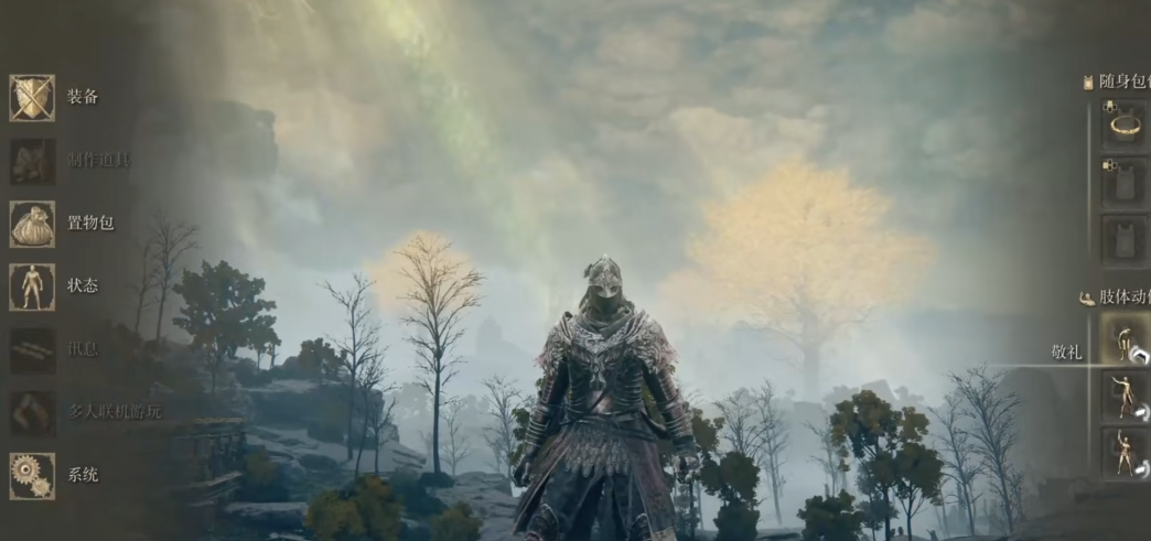 艾尔登法环最帅套装有什么