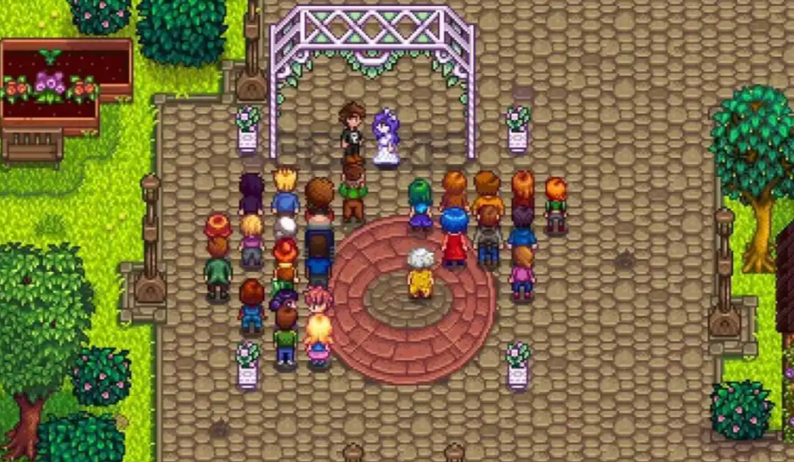 星露谷物语结婚以后干什么