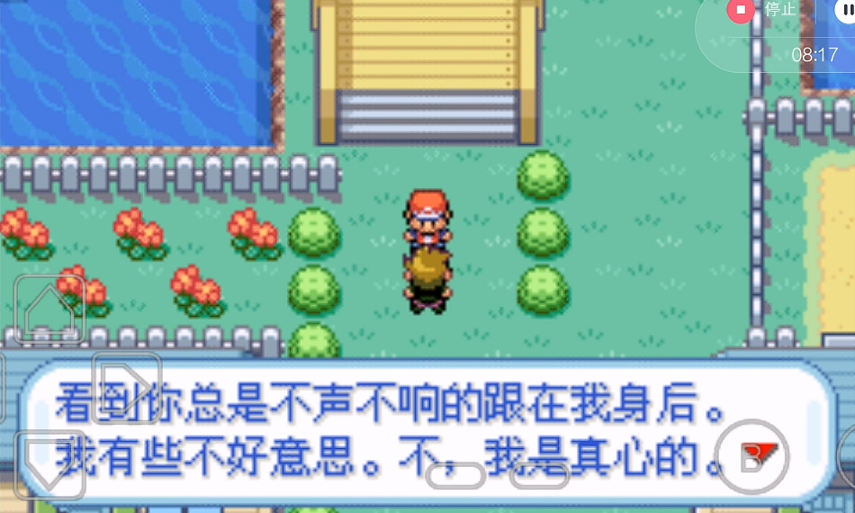 口袋妖怪火红波波什么性格好