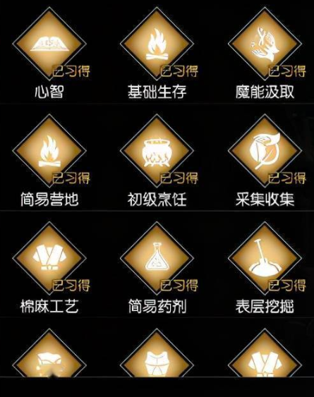黑暗与光明怎样烤肉