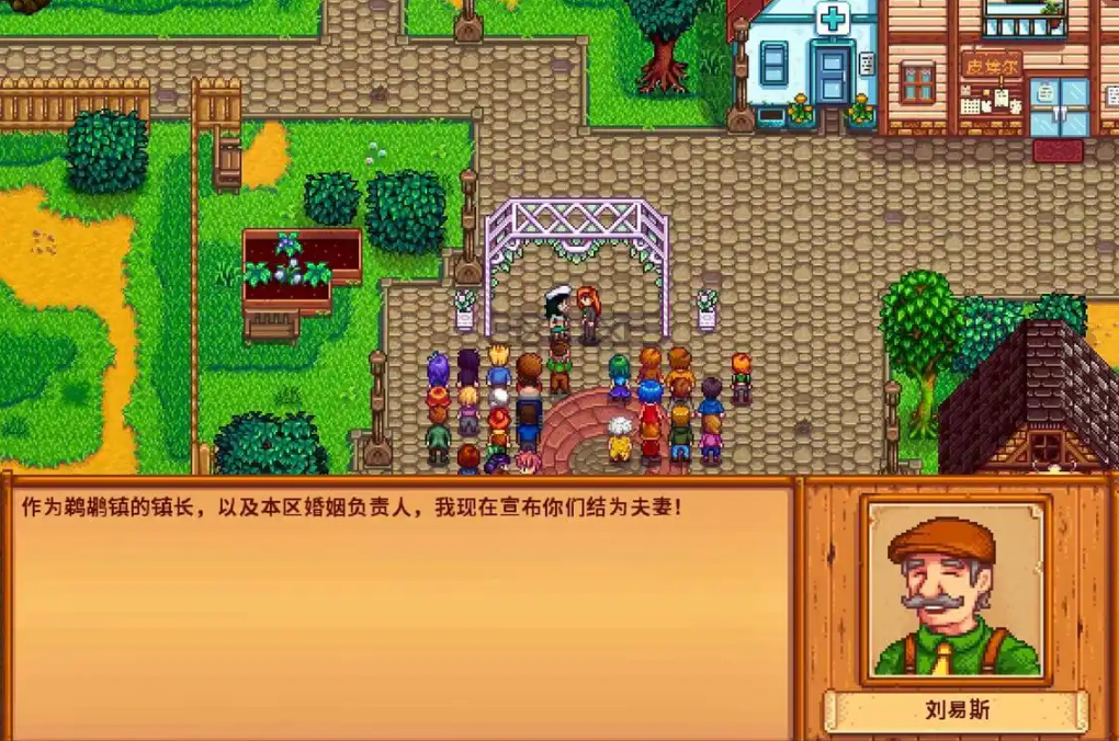 星露谷物语艾利欧特婚后会干什么