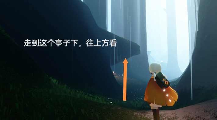光遇雨林怎么去 光遇雨林怎么去