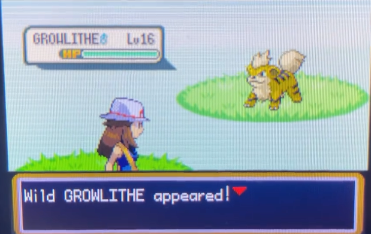 口袋妖怪火红卡蒂狗在哪里抓