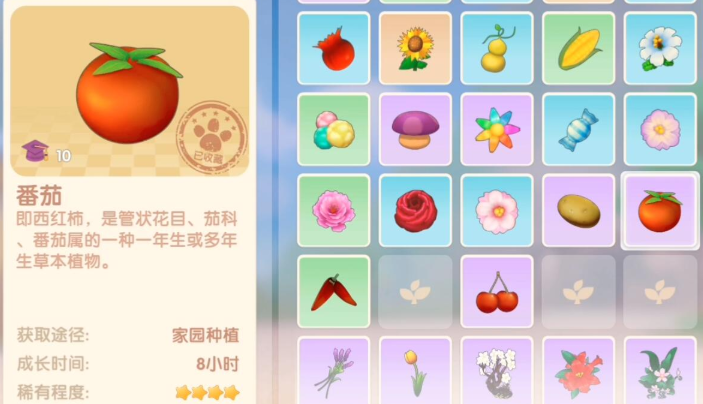 摩尔庄园手游西红柿怎么获得
