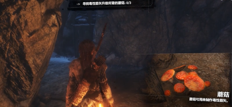 古墓丽影暗影毒箭怎么制作