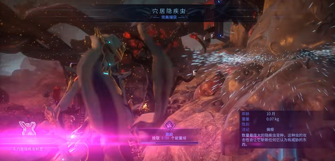 星际战甲吟游歌者总图哪里掉落