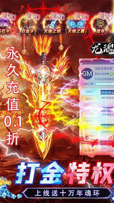 龙魂天下