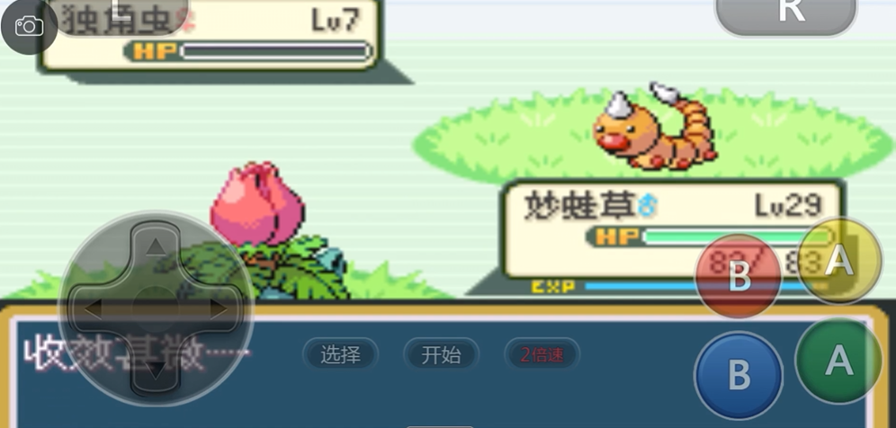 口袋妖怪火红疯狂植物怎么养 口袋妖怪火红疯狂植物怎么养