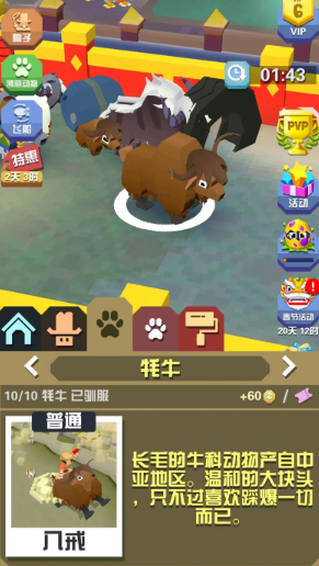 疯狂动物园的牦牛在哪里