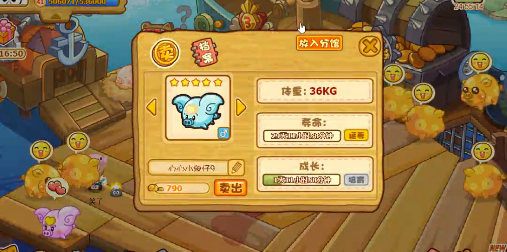 摩尔庄园怎么带雨伞