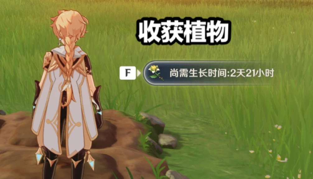 原神家园田地怎么放