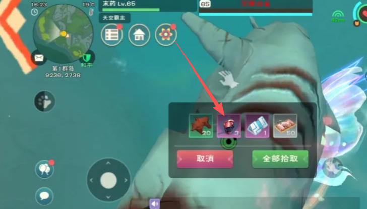 创造与魔法鲨鱼心脏有什么用