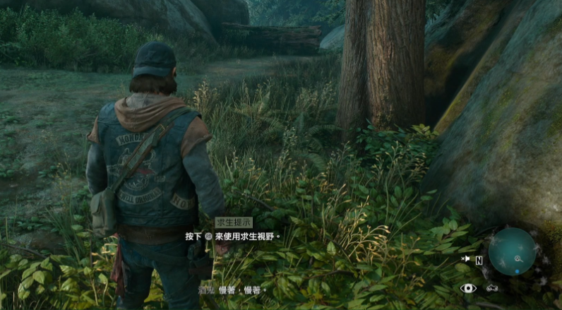 往日不再树苗怎么得