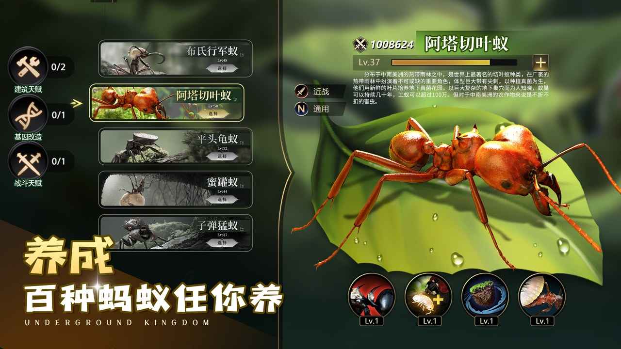小小蚁国截图1