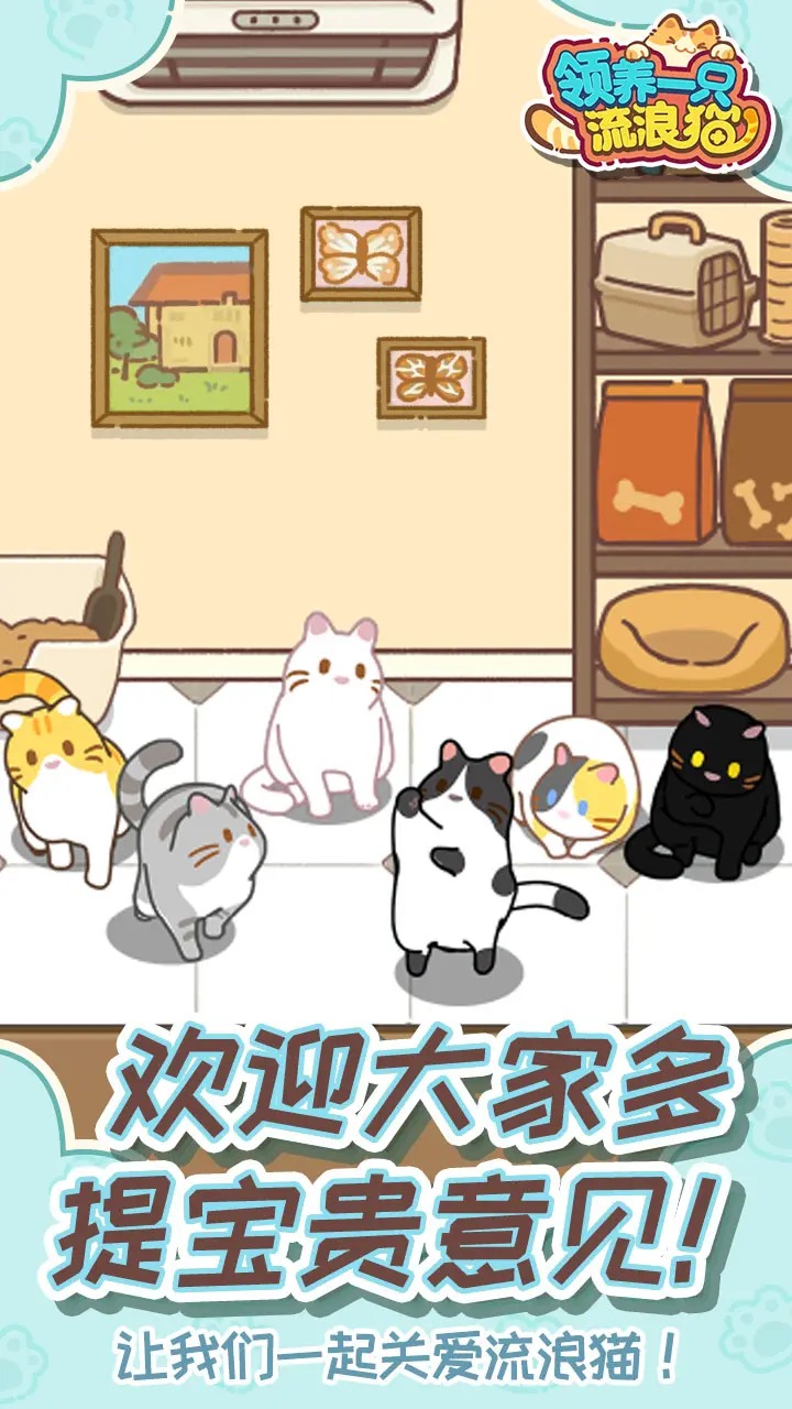 领养一只流浪猫