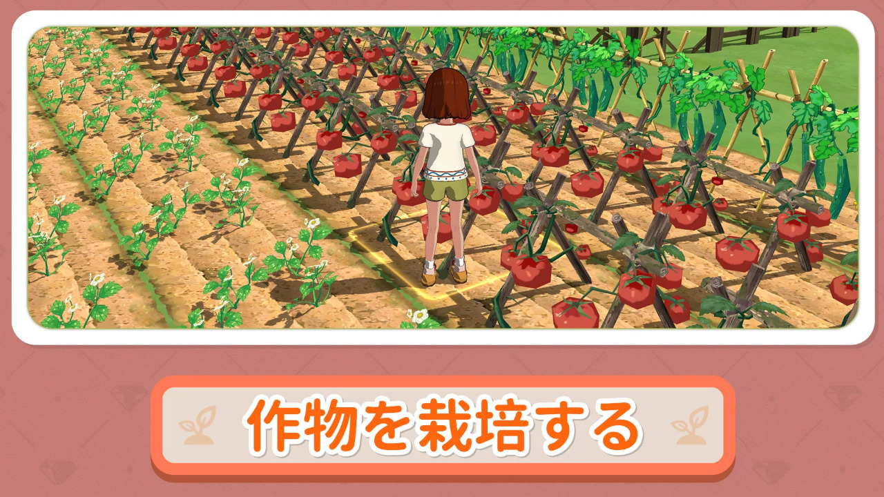 小森生活