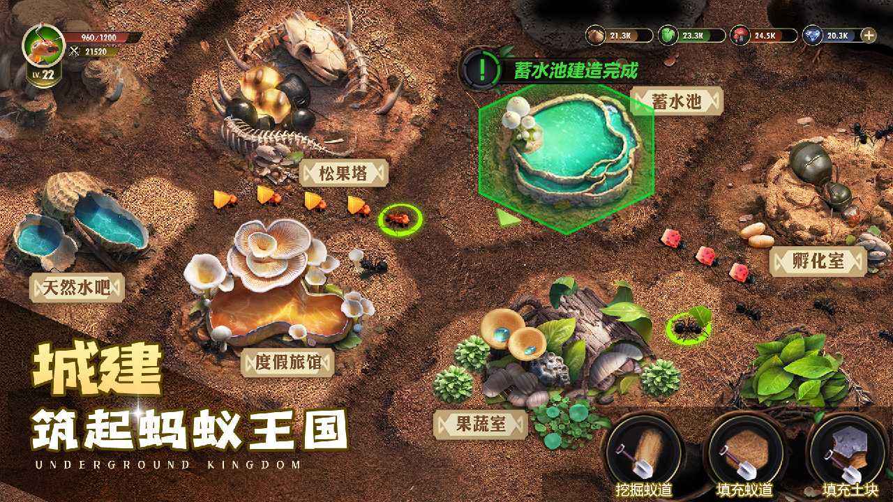 小小蚁国截图3