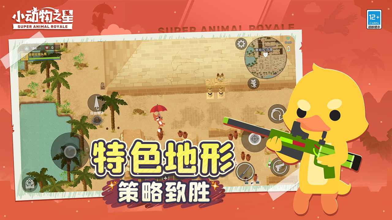 小动物之星