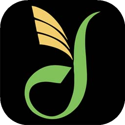 豆芽游戏