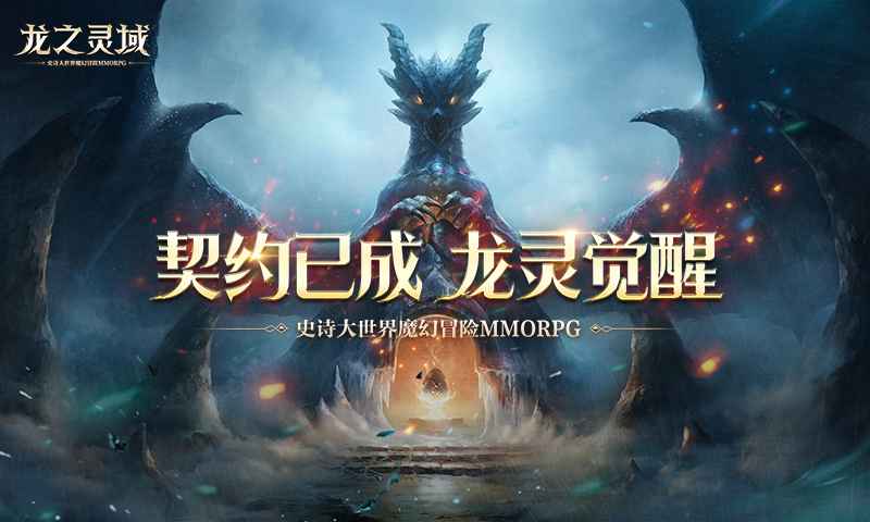 龙之灵域截图1