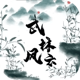 武林风云