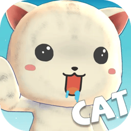 猫咪训练计划