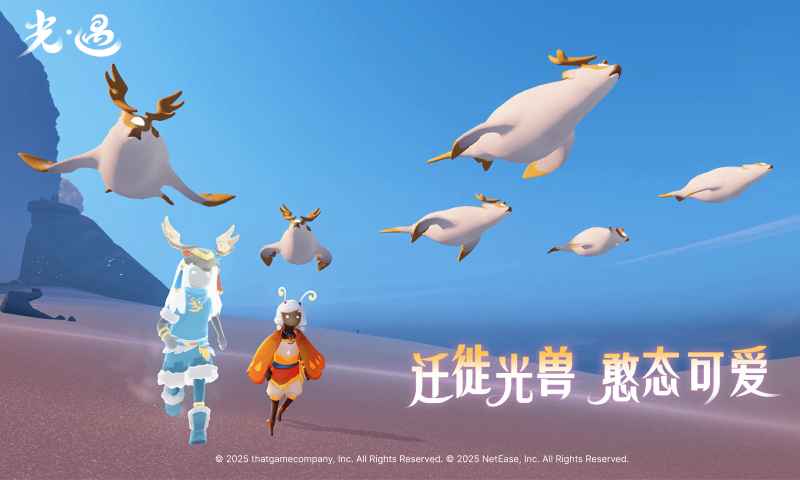 光遇截图4