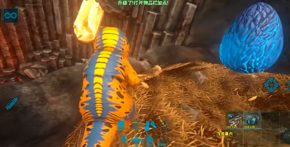 方舟生存进化手游版飞龙谷在哪