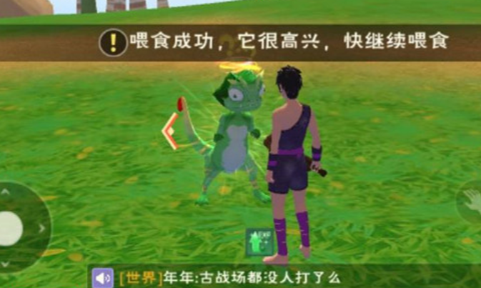 创造与魔法绿蜥蜴怎么抓