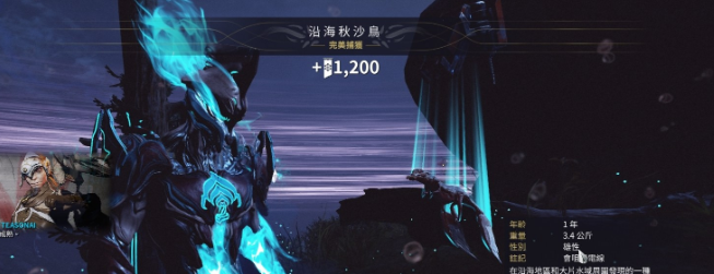 星际战甲小鸭子声望有什么用啊 星际战甲小鸭子声望有什么用啊