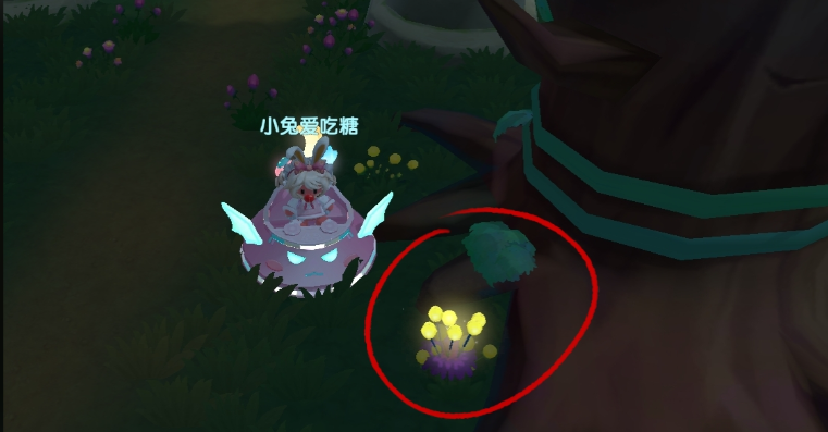 摩尔庄园萤火草种子怎么得