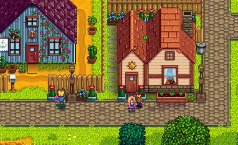 星露谷物语海莉一天都干什么