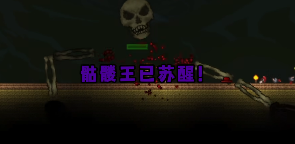 泰拉瑞亚隐身有什么用