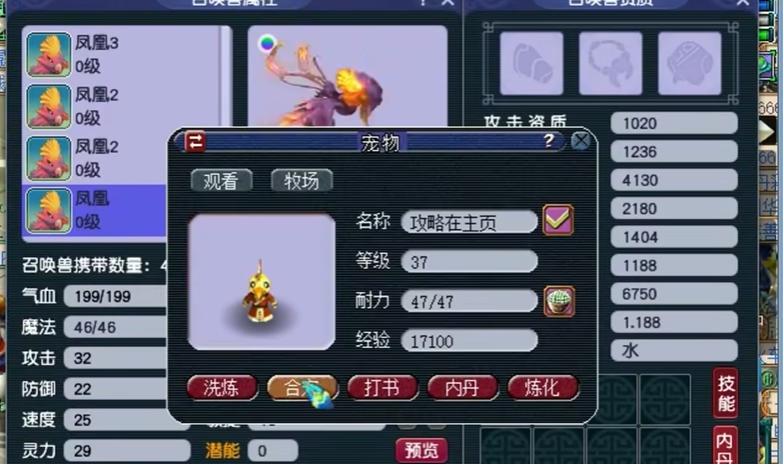 梦幻西游5开盘丝用什么宝宝 梦幻西游5开盘丝用什么宝宝