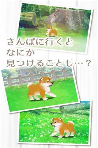 治愈系柴犬育成下载_治愈系柴犬育成手游版下载-0