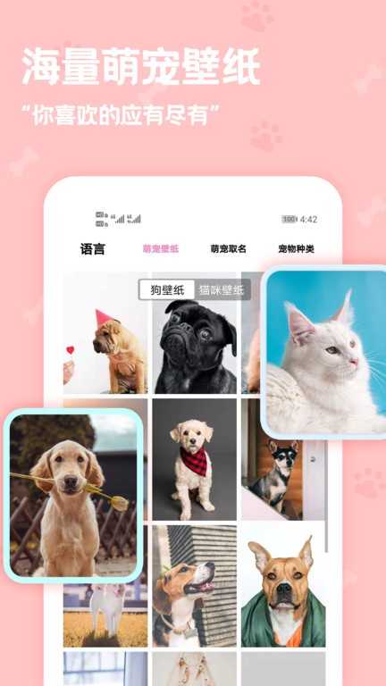 语言翻译截图2