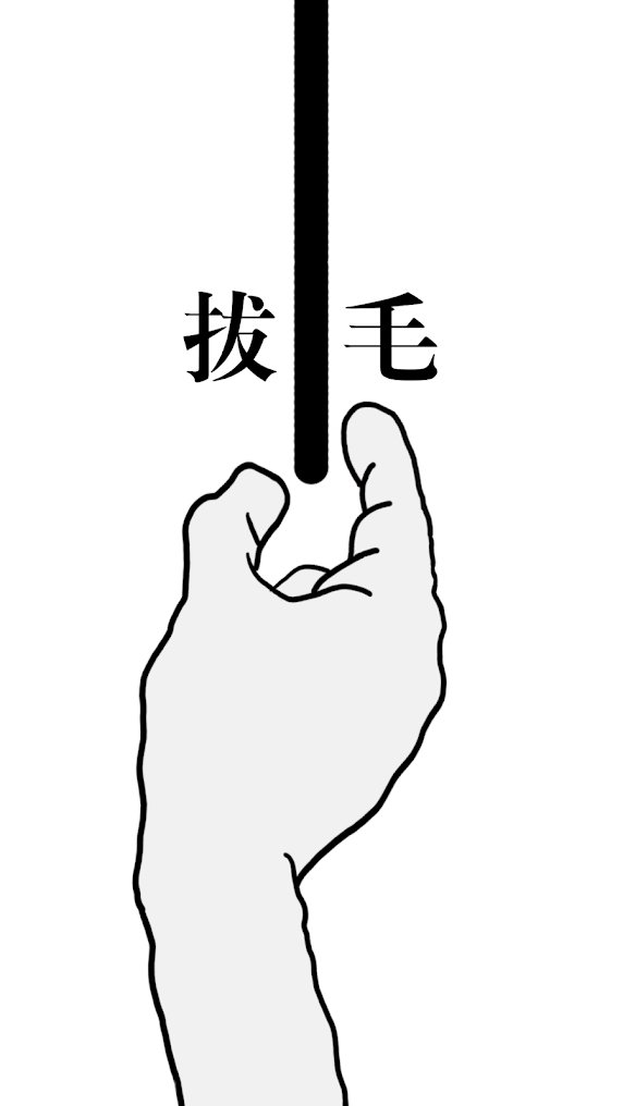 拔条毛毛与情感截图3