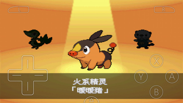 口袋妖怪黑2截图4