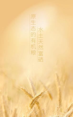 稀刻截图2