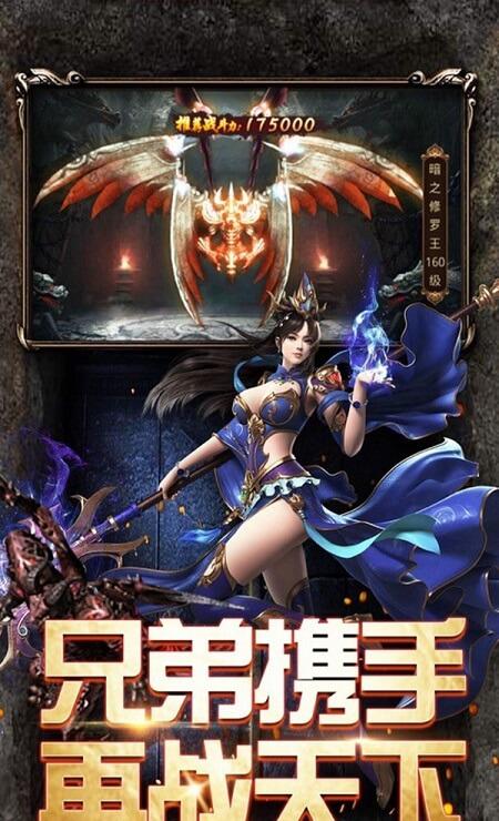 幻龙武将传小米版截图1