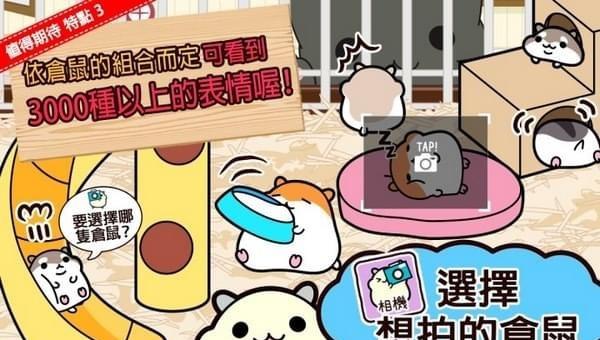 截图2