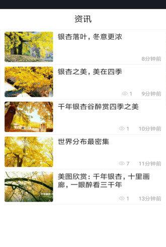 银杏tv-01