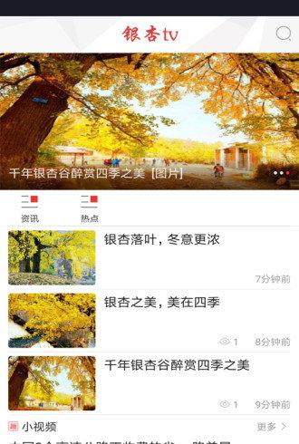 银杏tv-01
