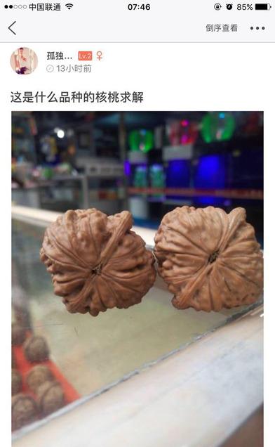 文玩汇截图3