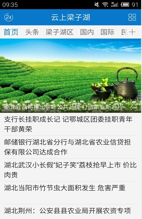 梁子湖特产截图3