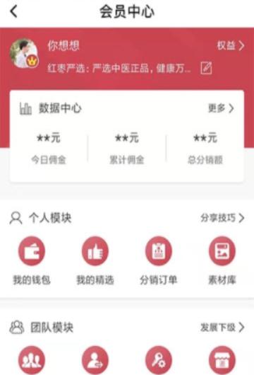 红枣严选-01