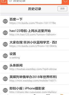 800浏览器截图3