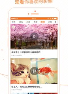 每天派截图4