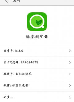 绿茶浏览器去广告版截图3